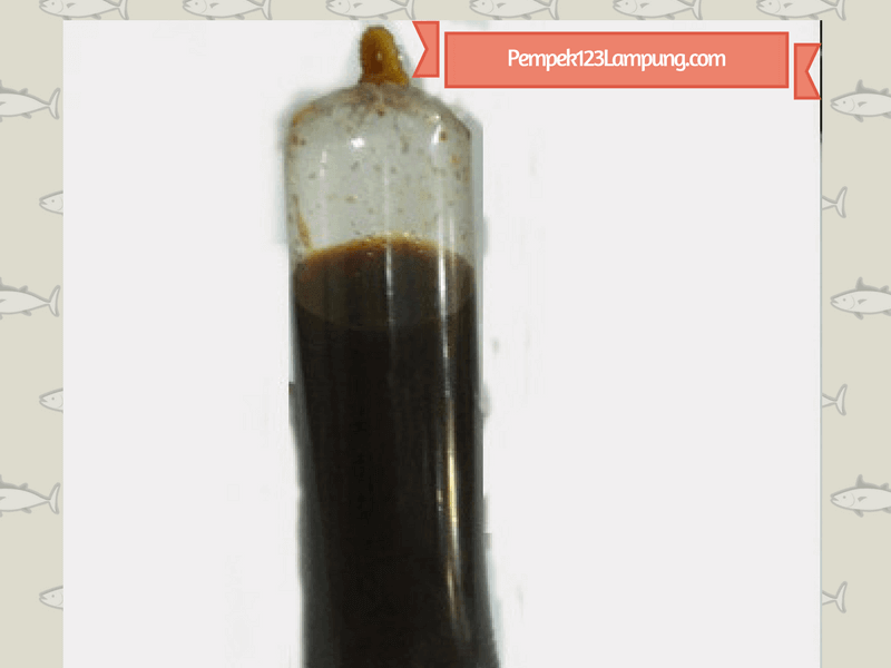 cuka tambahan pempek